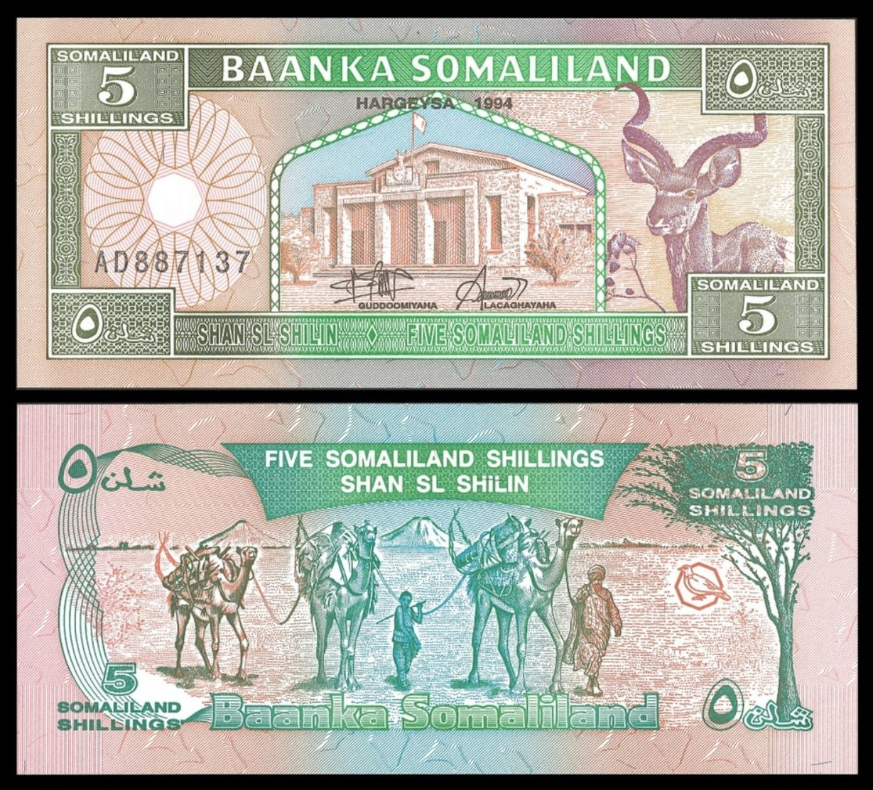 Somaliland 5 SHILLINGS 1994 P 1 UNC - Somalie