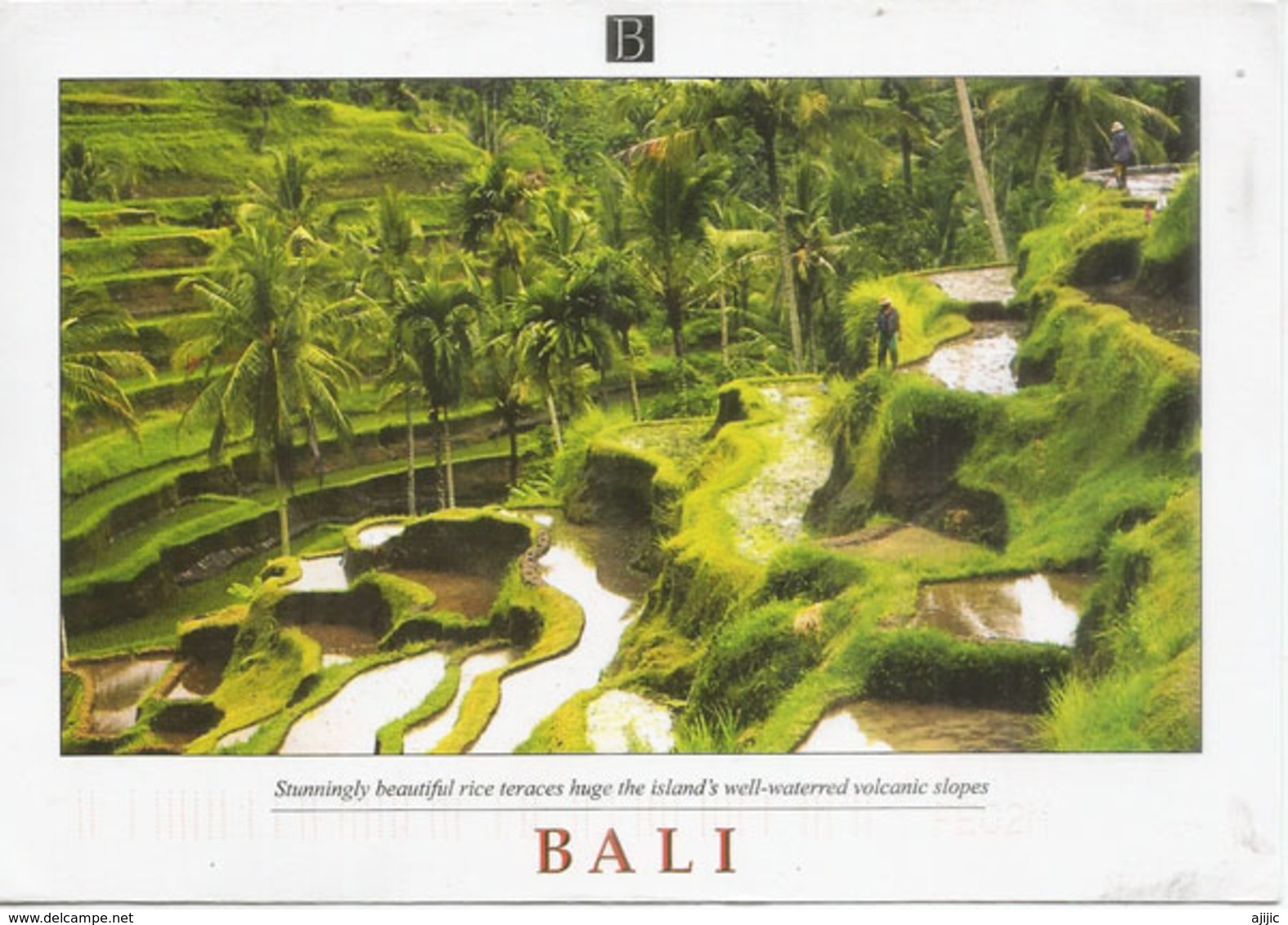 Culture Du Riz En Terrasses à BALI, Belle Carte Postale BALI, Affranchi Avec B-F Phila-Nippon Indonesia, Envoyée Andorra - Cultures