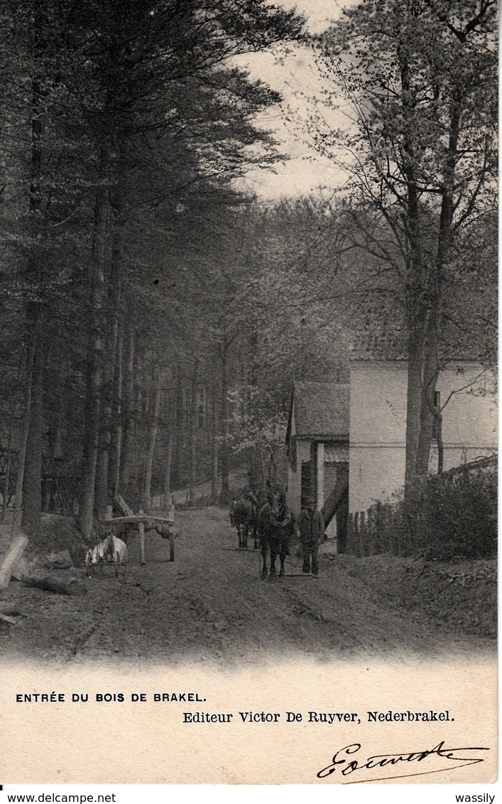 Nederbrakel - Entrée Du Bois De Brakel - De Ruyver- 1905 - Brakel