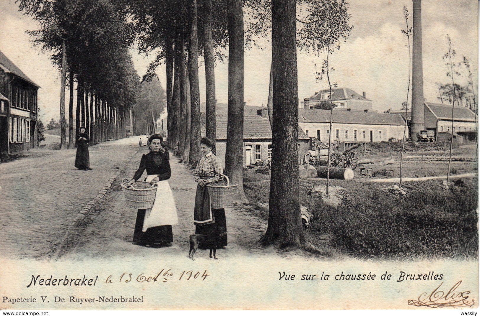 Nederbrakel - Vue Sur La Chaussée De Bruxelles - Brakel