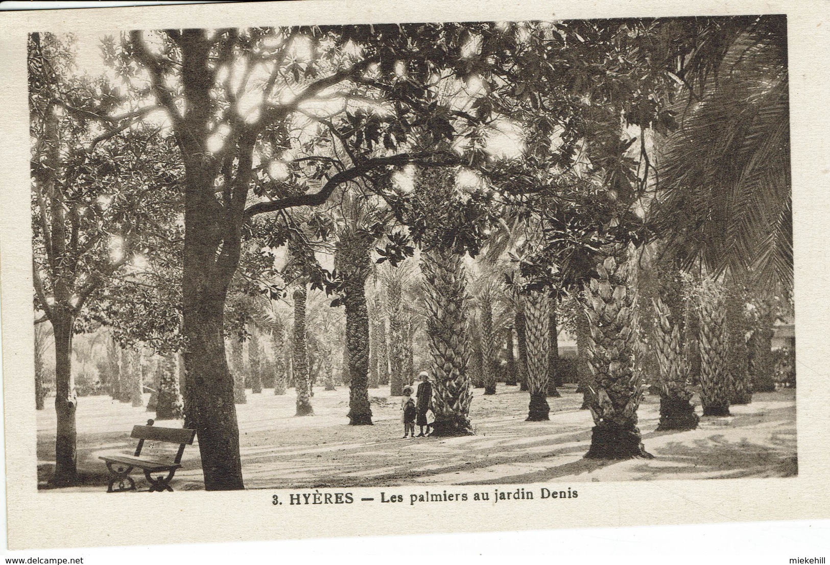 83-HYERES-LES PALMIERS AU JARDIN DENIS - Hyeres