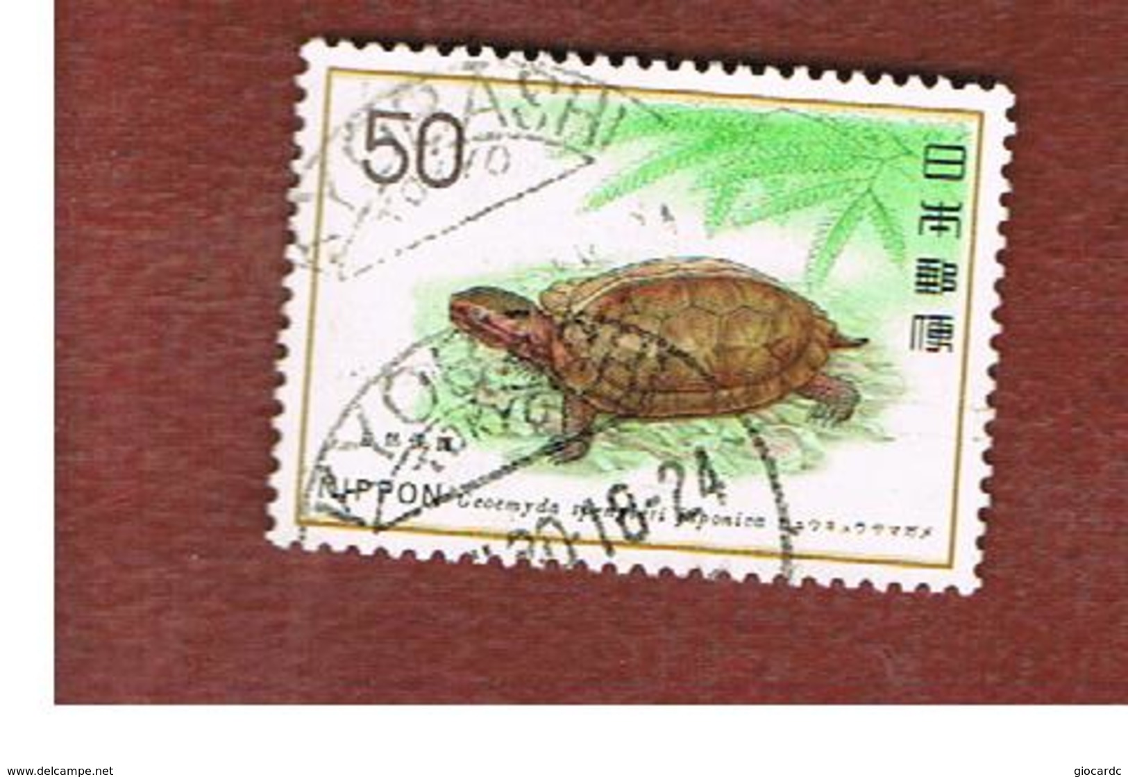 GIAPPONE  (JAPAN) - SG 1422 -   1976   ANIMALS: GEOMYDA SPENGLERI JAPONIC    - USED° - Usati