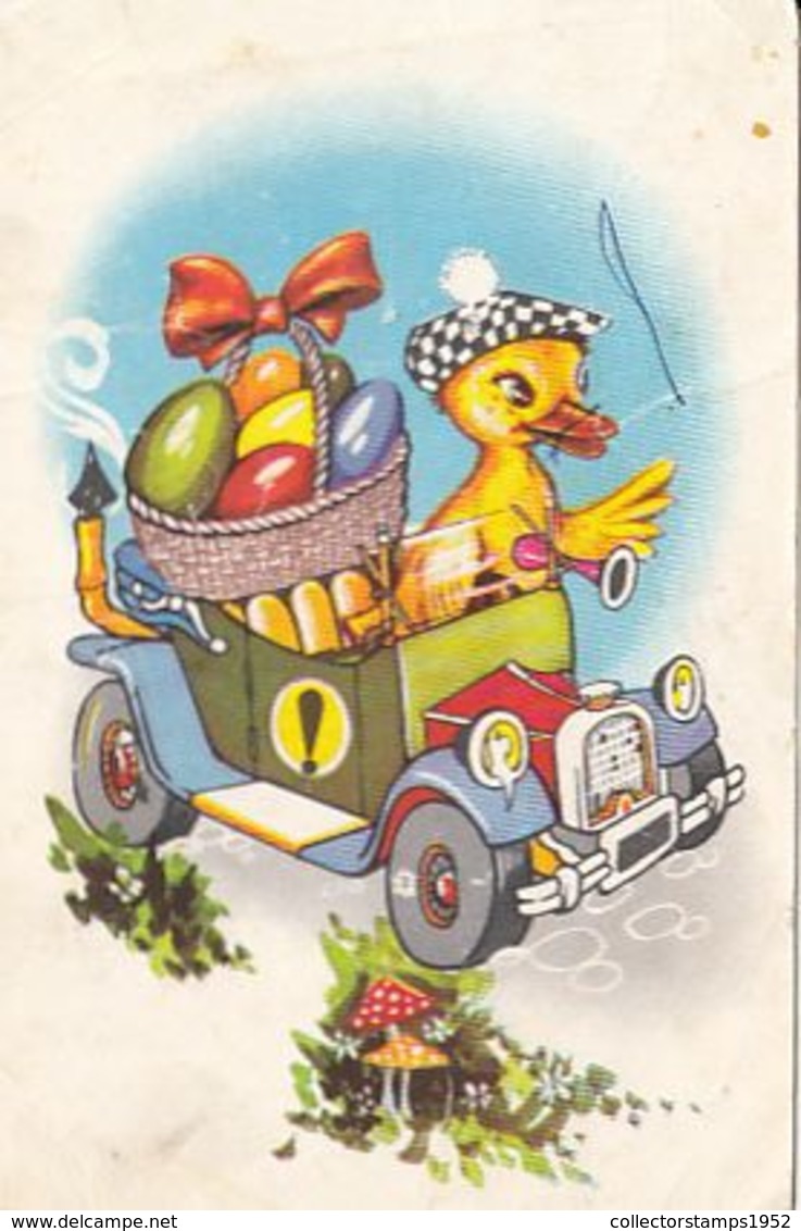 76227- PAINTED EGG, DUCKLING, CAR, MUSHROOMS - Pilze