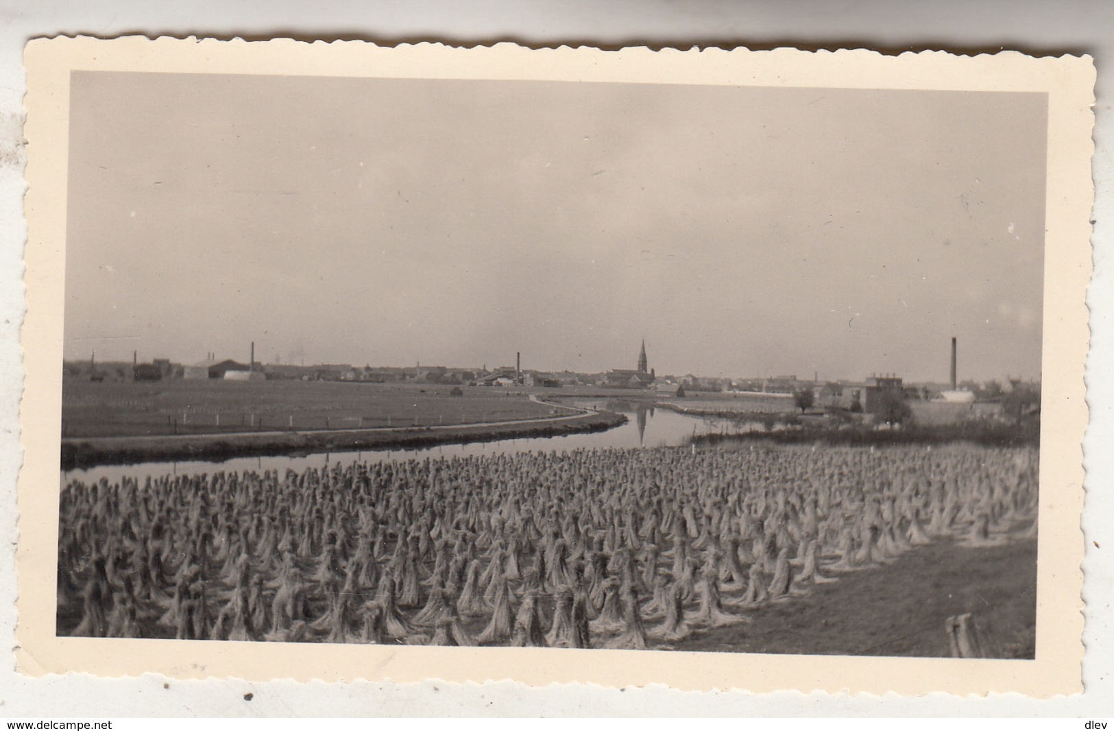 Kortrijk - Courtrai - Le Lin Après Le Tullage - Foto Formaat 6.5 X 11 Cm - Lieux