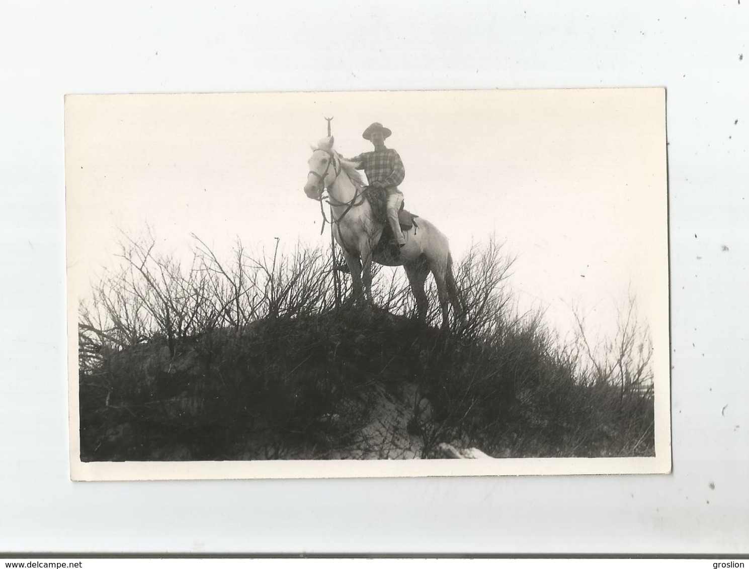 EN CAMARGUE CARTE PHOTO AVEC GARDIAN (PHOTO GEORGE ARLES) - Sonstige & Ohne Zuordnung