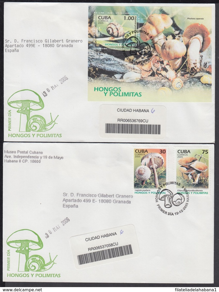 2005-FDC-78 CUBA FDC 2005. REGISTERED COVER TO SPAIN. HONGOS Y POLIMITAS, HONGOS, FUNGUS, MUSHROOMS. - FDC