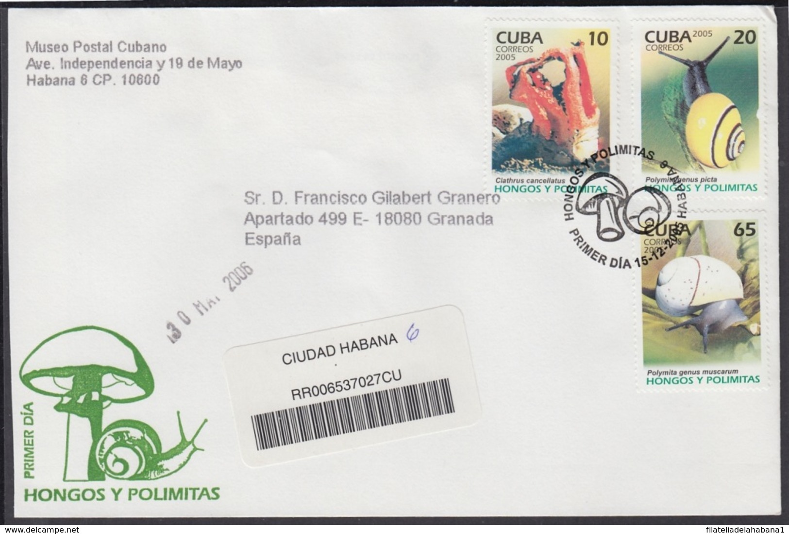 2005-FDC-78 CUBA FDC 2005. REGISTERED COVER TO SPAIN. HONGOS Y POLIMITAS, HONGOS, FUNGUS, MUSHROOMS. - FDC