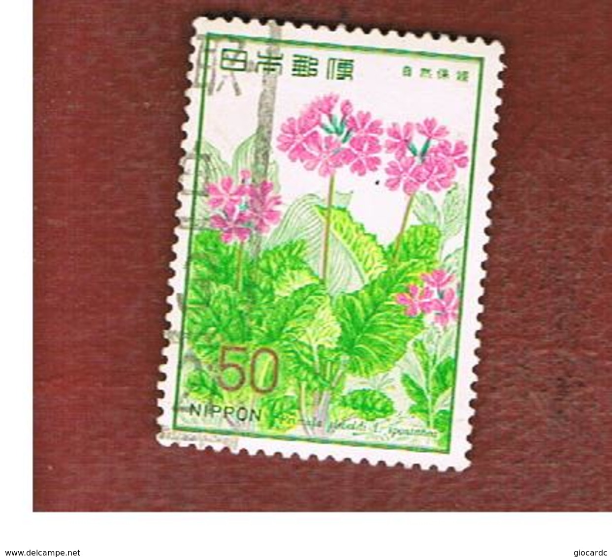 GIAPPONE  (JAPAN) - SG 1490   -   1978 FLOWERS: PRIMULA SIEBOLDI - USED° - Usati