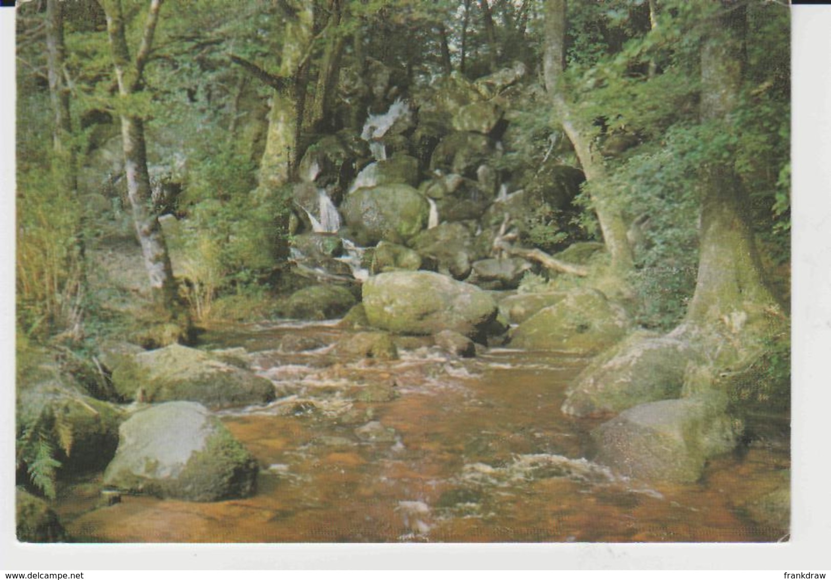 Postcard - Becky Falls, Nr Manaton, Devon - Card No. Psd25631  - Unused Very Good - Unclassified