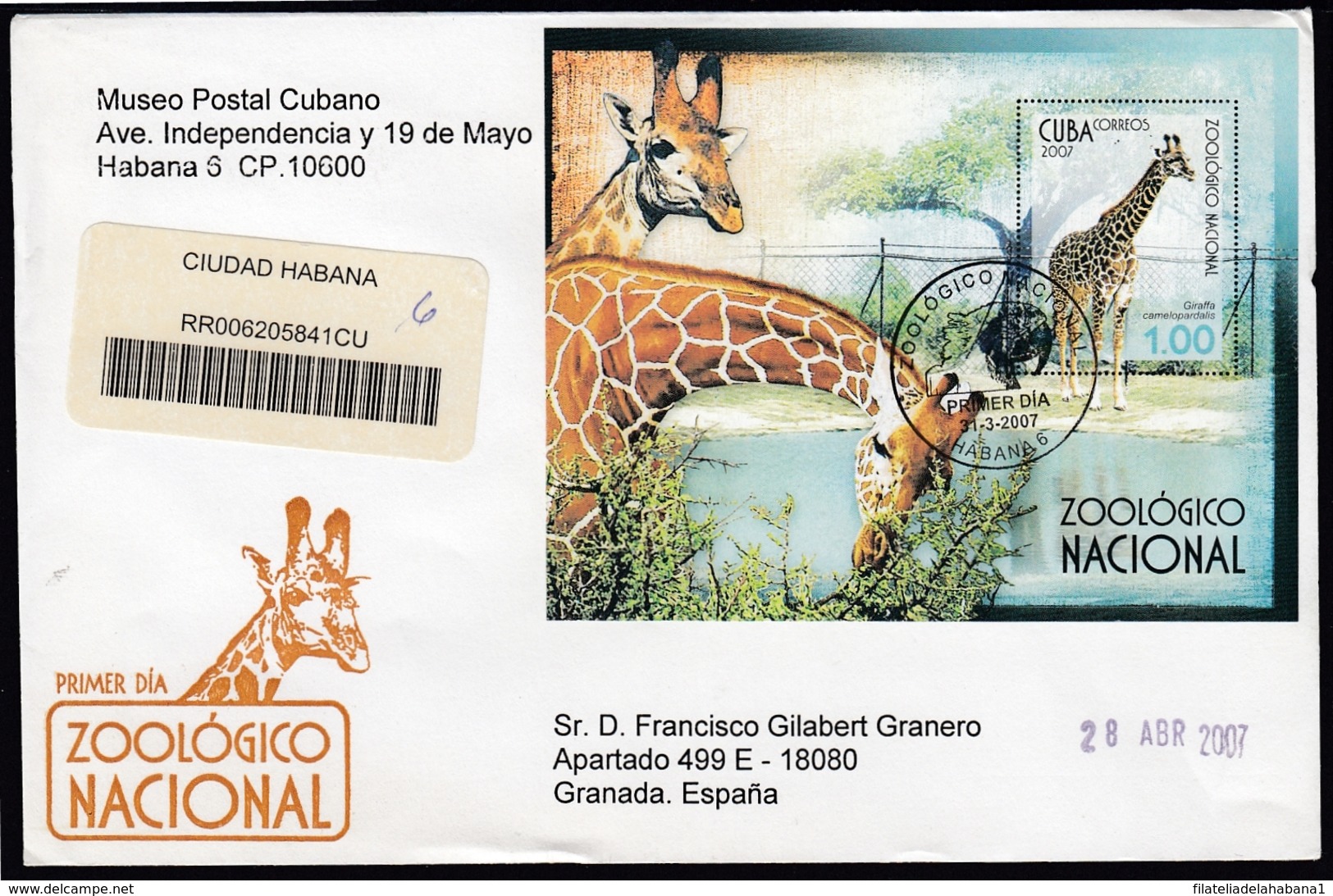 2007-FDC-89 CUBA FDC 2007. REGISTERED COVER TO SPAIN. ZOO, PARROT, BIRD, ORANGUTAN, MONKEY, TORTLE, MAPACHE, LEOPARD. - FDC