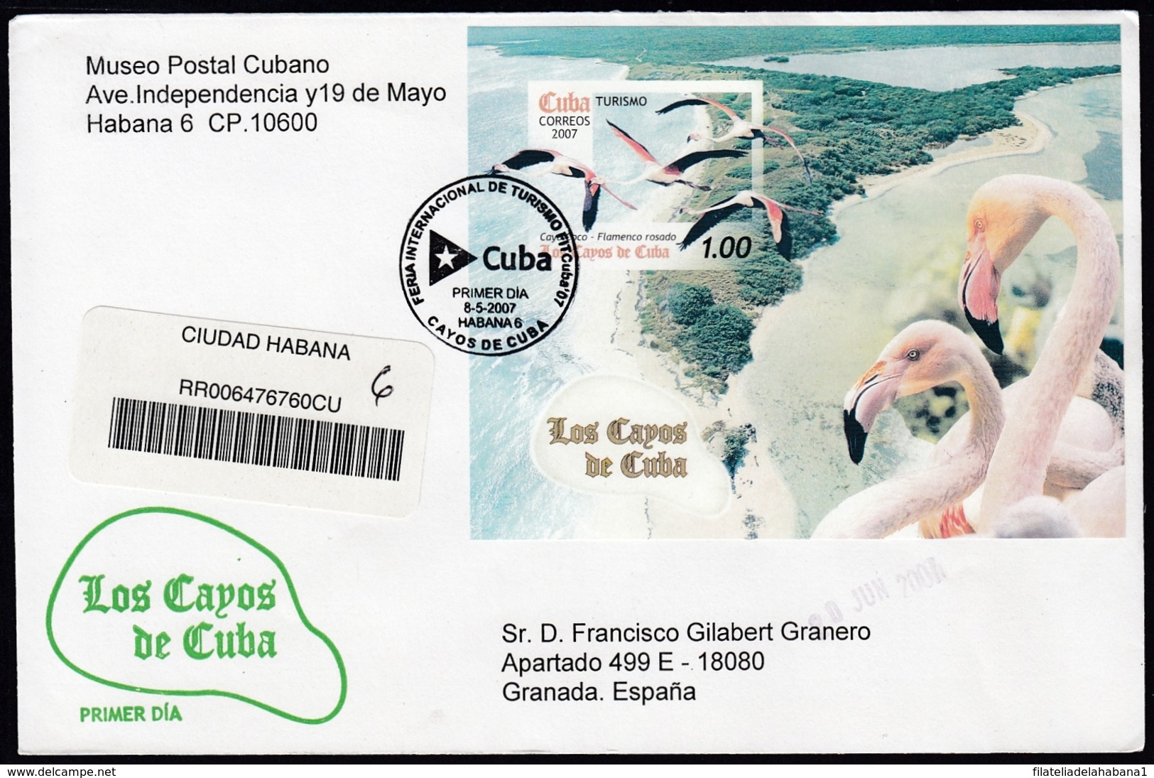 2007-FDC-101 CUBA FDC 2007. REGISTERED COVER TO SPAIN. FAUNA DE LOS CAYOS DE CUBA, BIRD, AVES, SNAIL, LIZARD, - FDC