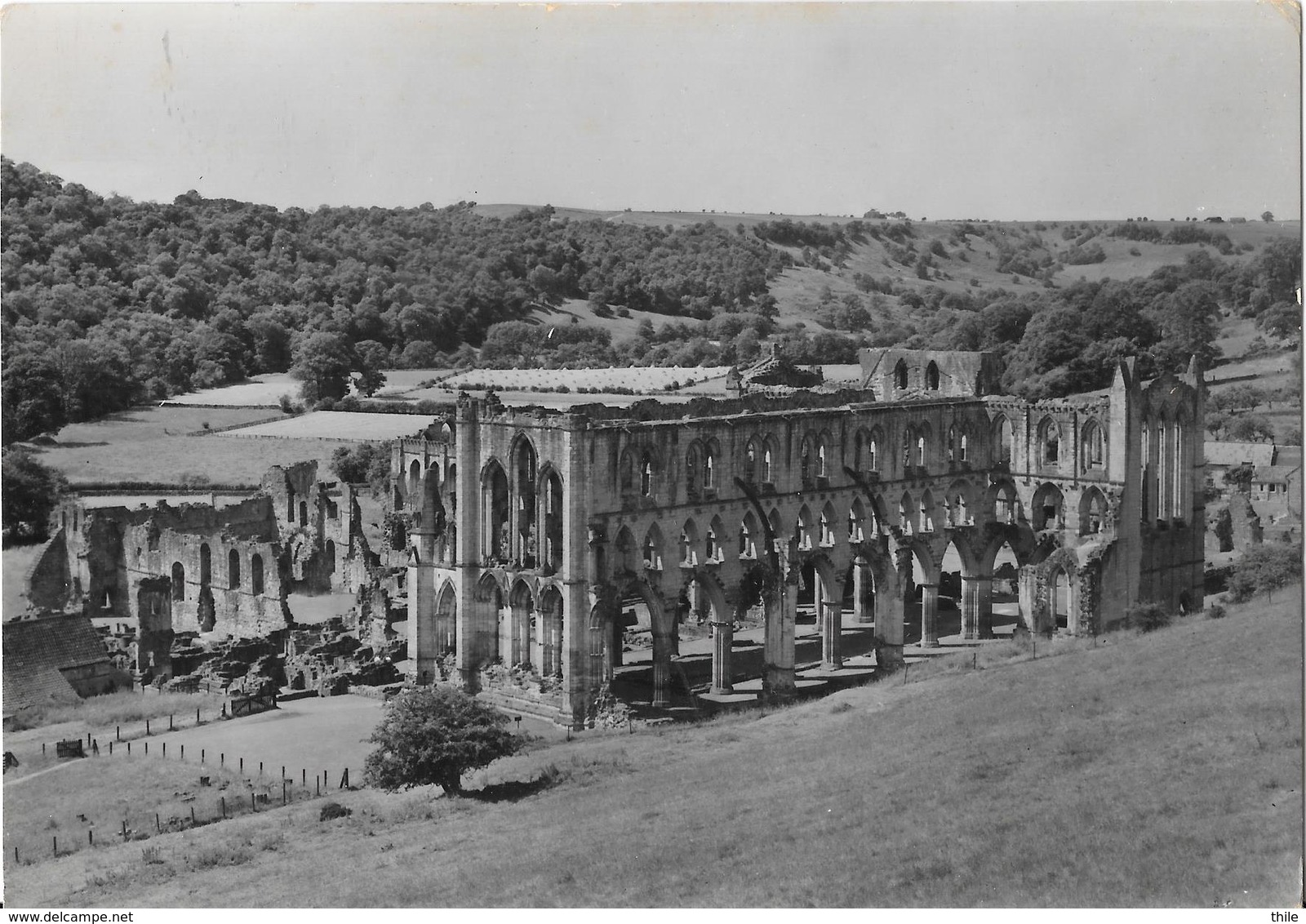 Rievaulx Abbey - Yorkshire - Autres & Non Classés