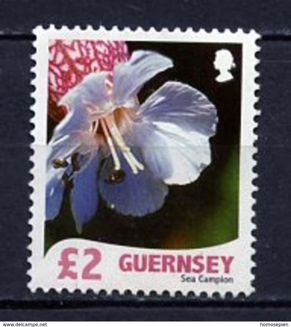 Guernesey - Guernsey 2008 Y&T N°1188 - Michel N°1178 Nsg - 2£ Silène - Guernesey