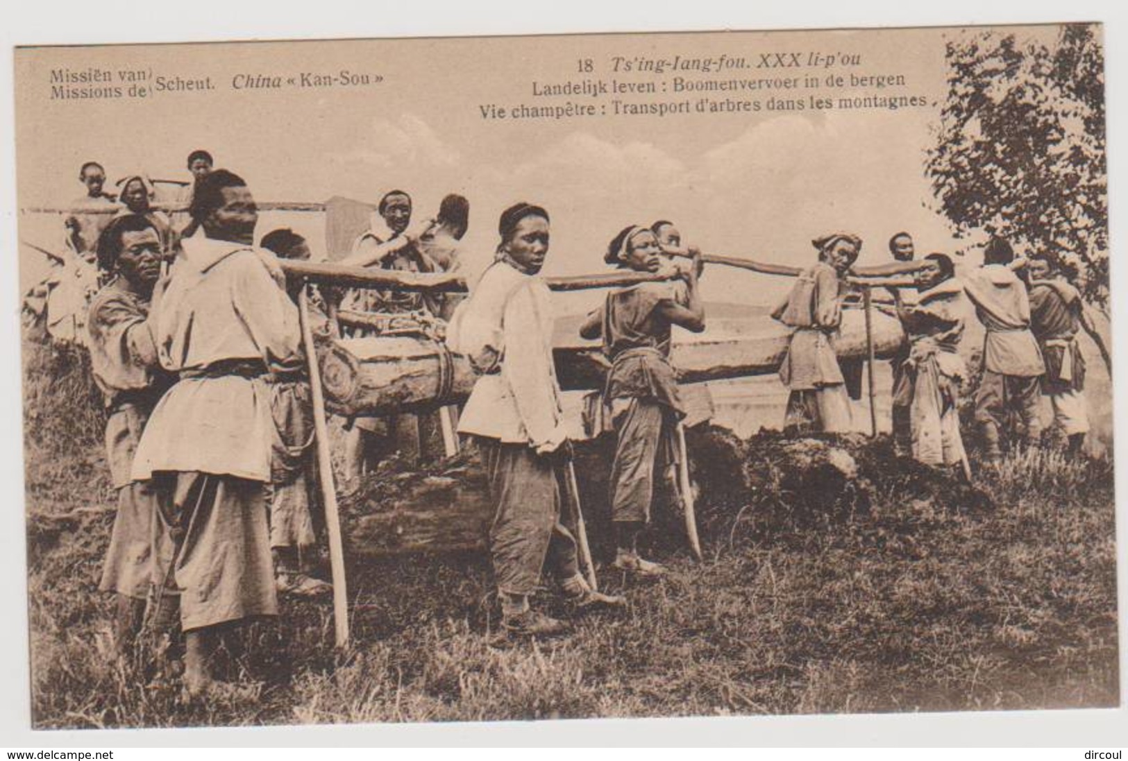 40134 -   China  Kan-Sou  Ts'ing-Iang-fou -   Transport  D'arbres  Dans  Les  Montagnes - Chine