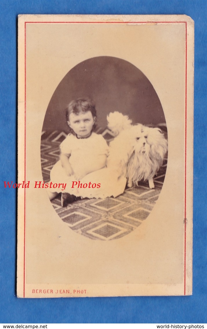 Photo Ancienne - Beau Portrait Studio Petite Fille & Faux Chien - 1875 - Photographe Berger Jean - Enfant - Anciennes (Av. 1900)