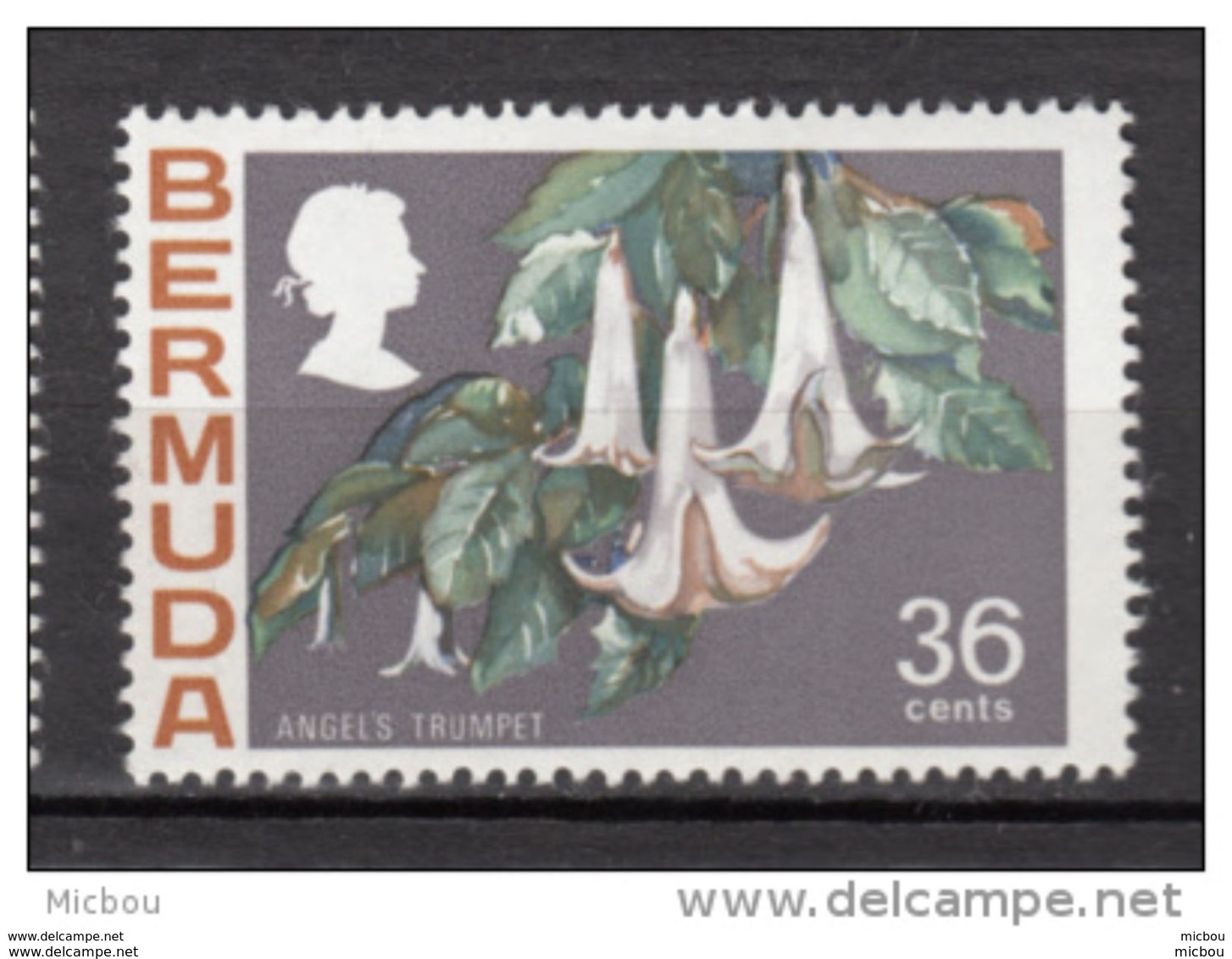 ##5, Bermuda, 1970, MH, Fleur, Flower, Angel's Trumpet - Bermudes