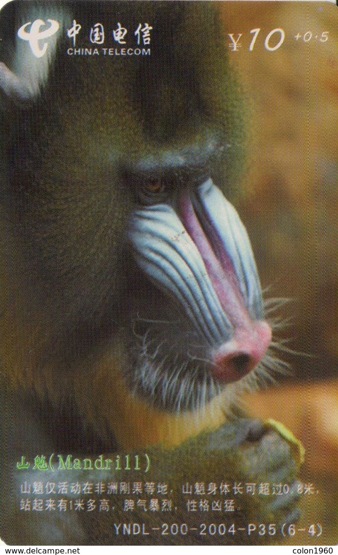 TARJETA TELEFONICA DE CHINA. FAUNA. MONO - MANDRILL. YNDL-200-2004-P35(6-4). (659). - Otros & Sin Clasificación