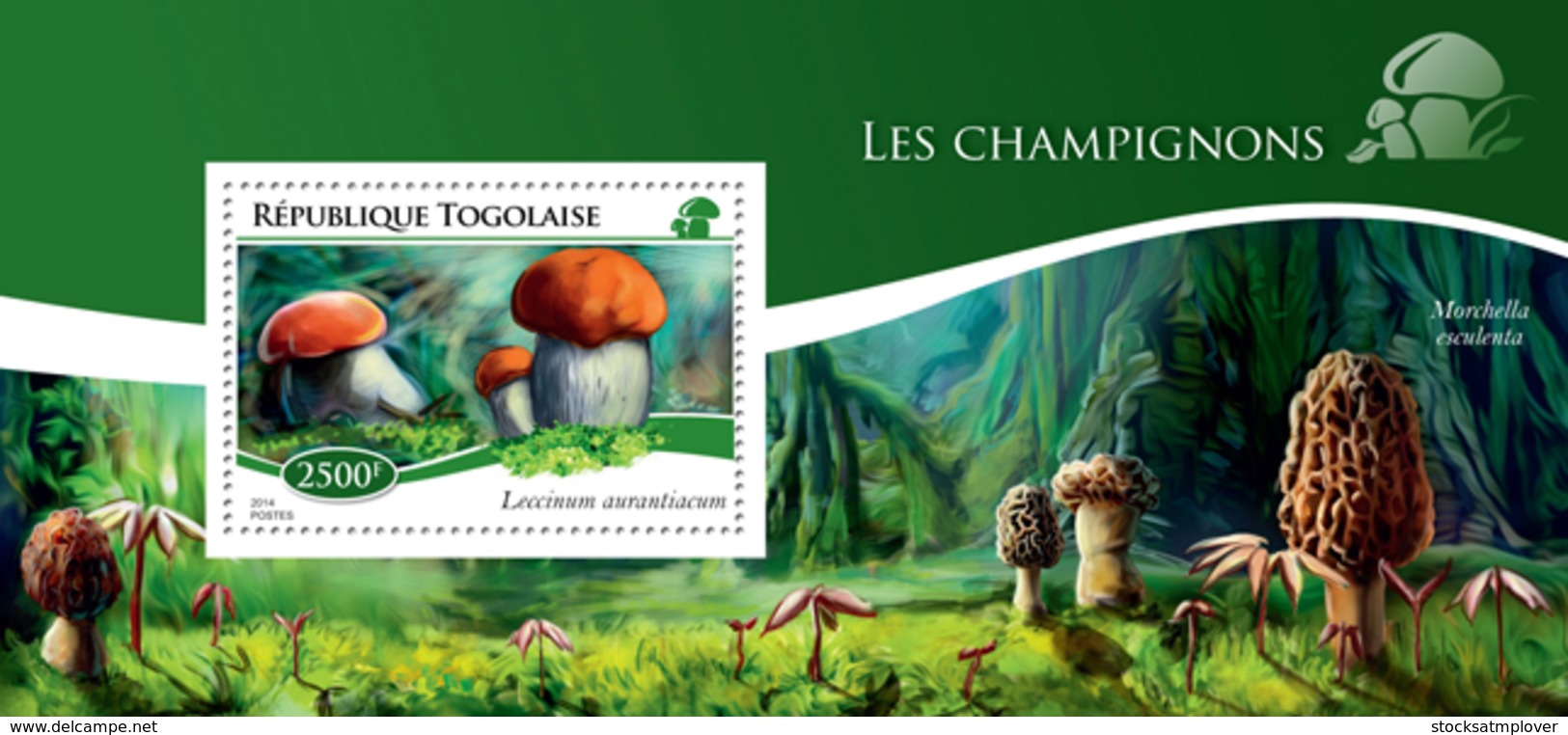 Togo  2014  Mushrooms - Togo (1960-...)