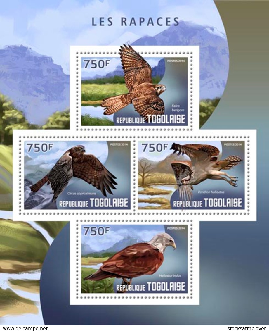 Togo  2014  Fauna   Birds Of Prey - Togo (1960-...)