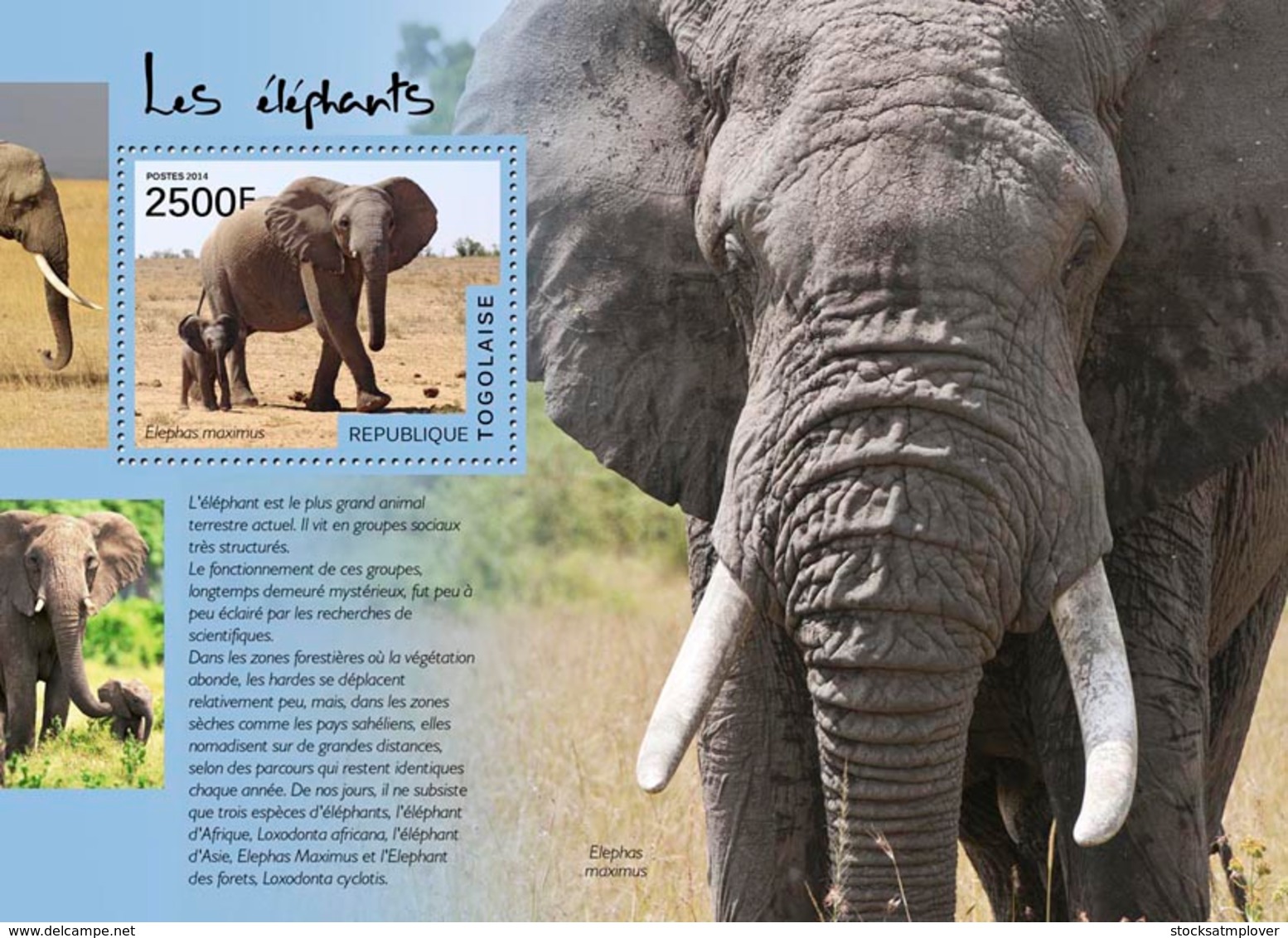 Togo  2014  Fauna  Elephants - Togo (1960-...)