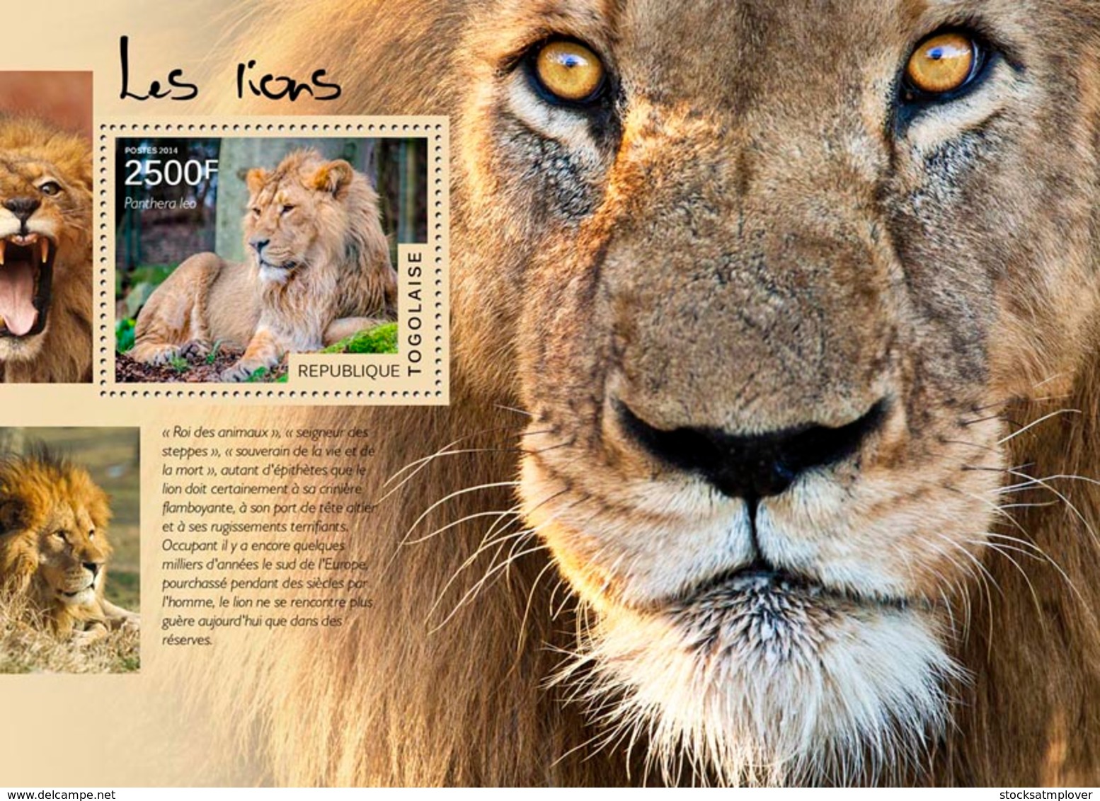 Togo  2014  Fauna Lions - Togo (1960-...)