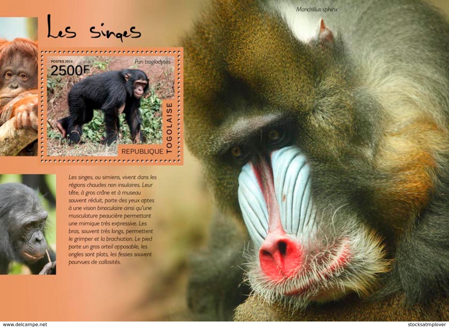 Togo  2014  Fauna Monkeys Mandrill  Chimpanzee - Togo (1960-...)