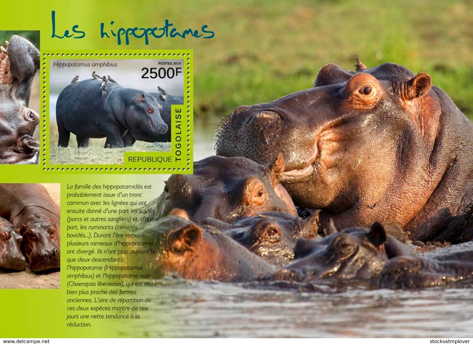 Togo  2014  Fauna  Hippopotamuses - Togo (1960-...)