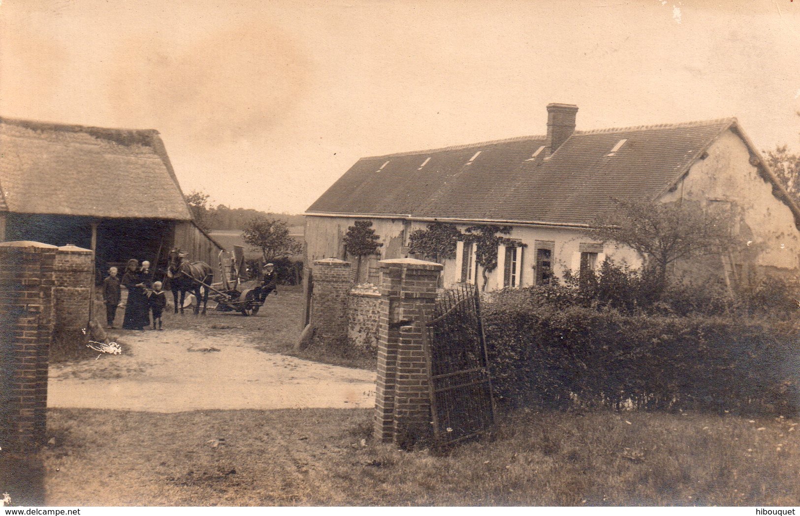 CPA, Belle Photo Carte Cour De Ferme Animée (certainement Secteur Du Perche) - Autres & Non Classés