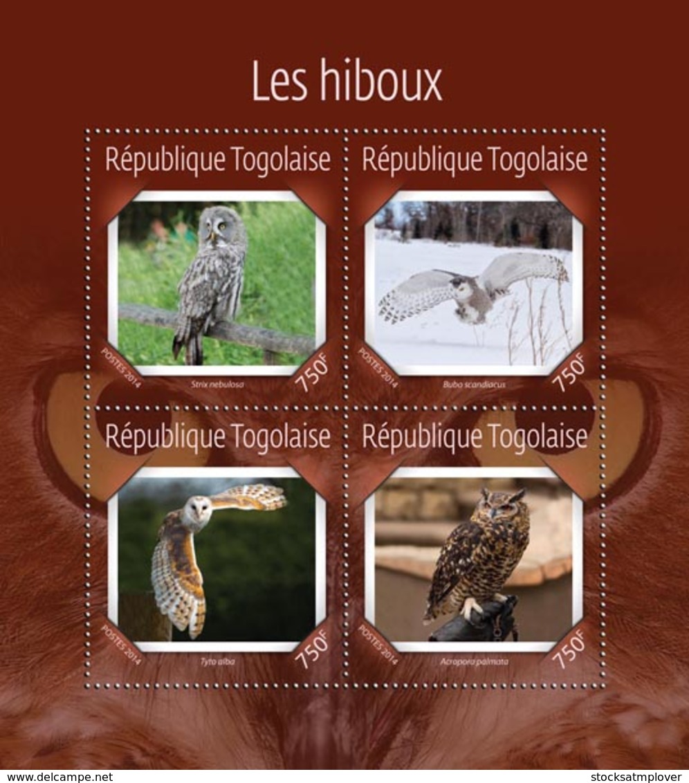 Togo  2014 Fauna Owls - Togo (1960-...)