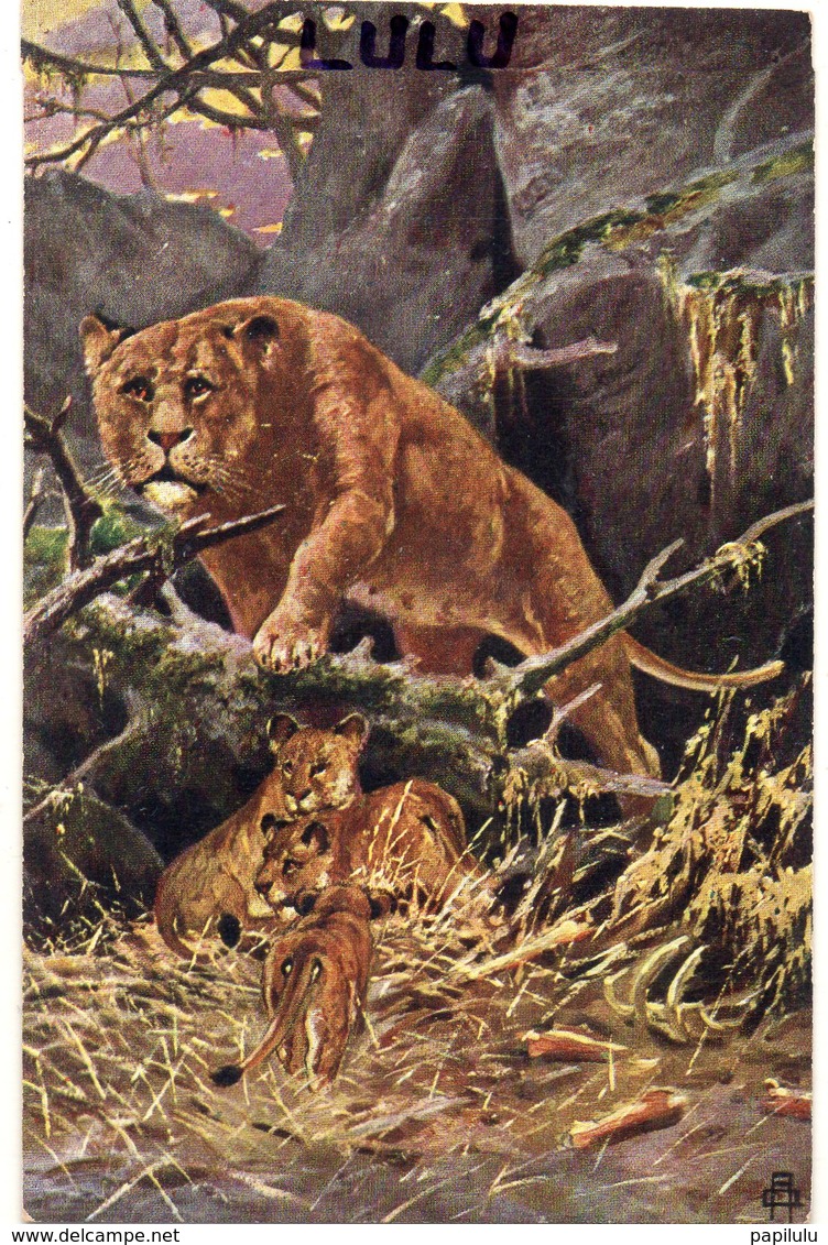 ANIMAUX 122 : Lionne Et Ses Petits - Lions