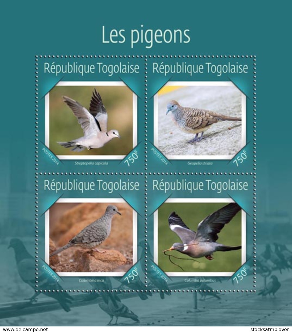 Togo  2014  Fauna Pigeons - Togo (1960-...)