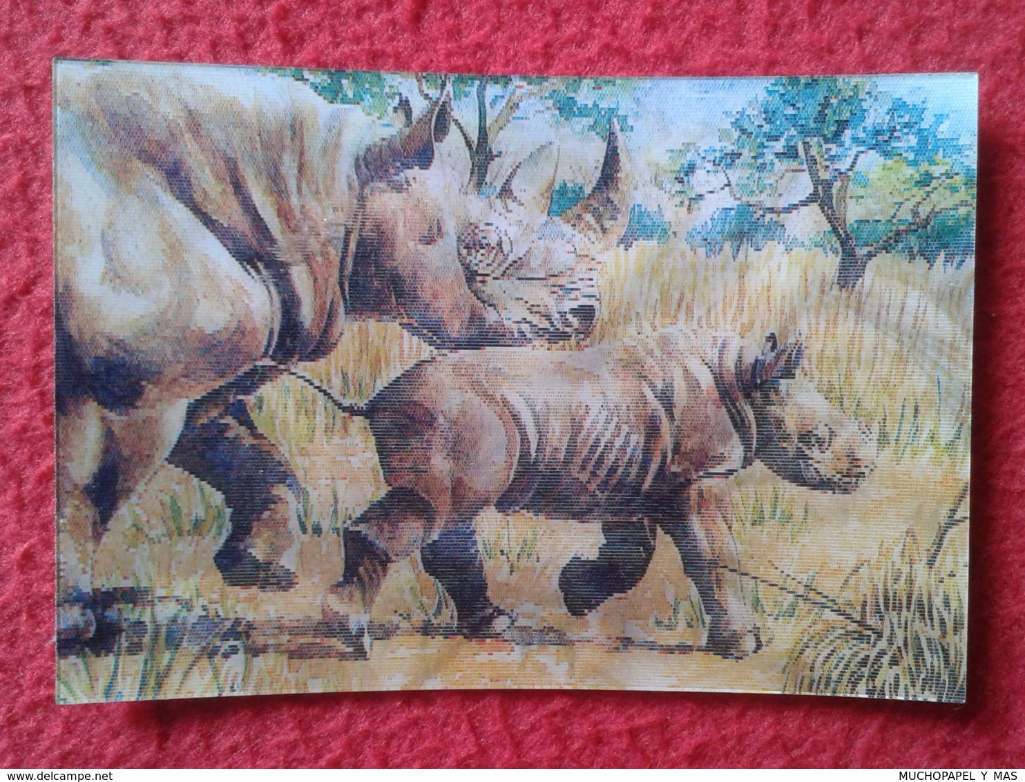 SPAIN ANTIGUO CROMO RARE OLD COLLECTIBLE CARD TIPO HOLOGRAMA 3D MOVIMIENTO RINOCERONTE RHINO RHINOCEROS RHINOS RHINOCERO - Otros & Sin Clasificación