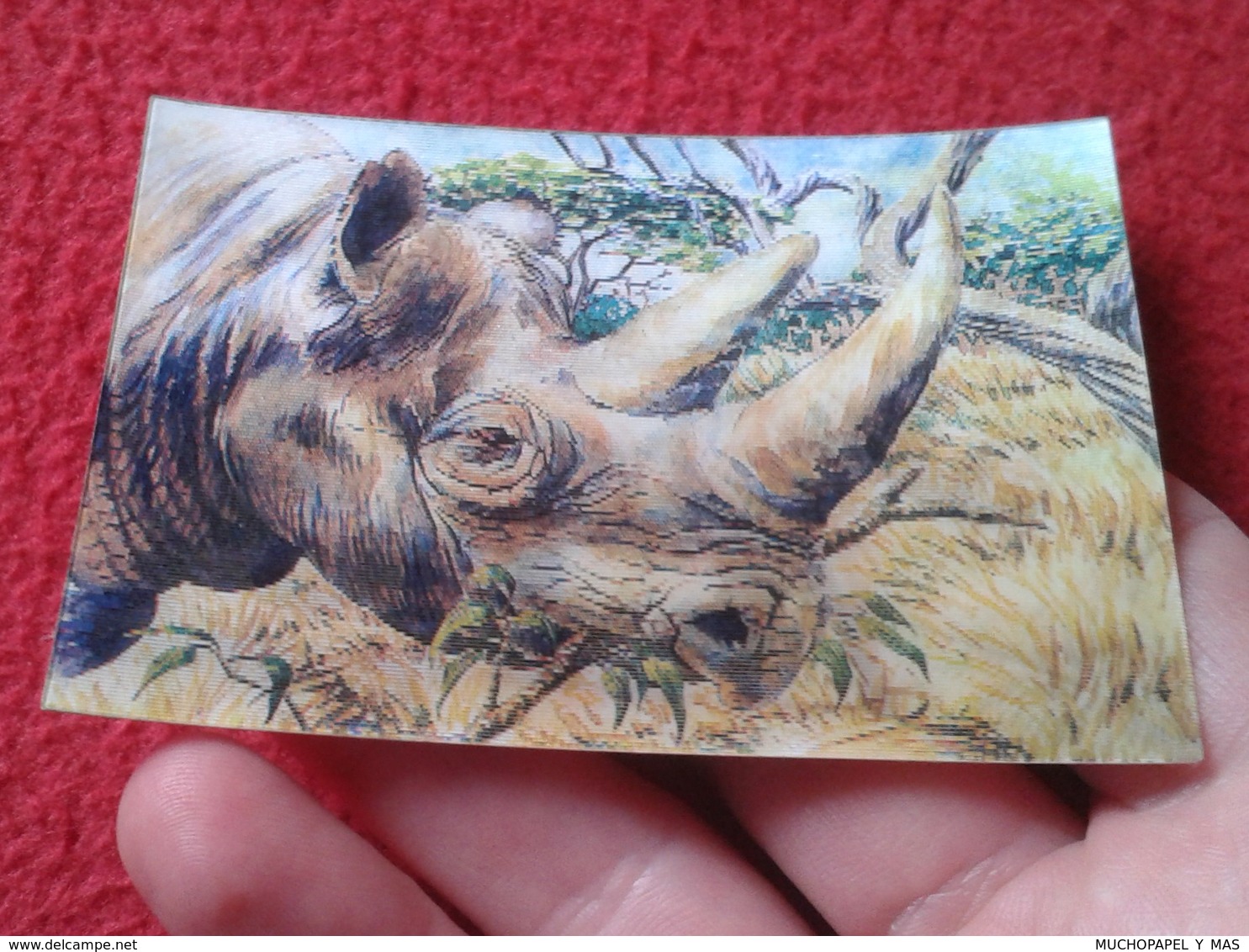 SPAIN ANTIGUO CROMO RARE OLD COLLECTIBLE CARD TIPO HOLOGRAMA 3D MOVIMIENTO RINOCERONTE RHINO RHINOCEROS RHINOS RHINOCERO - Otros & Sin Clasificación