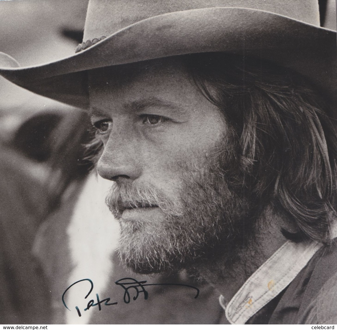 PETER FONDA  AUTOGRAPHE / AUTOGRAMM  Photo 18,5/18,5 Cm - Other & Unclassified