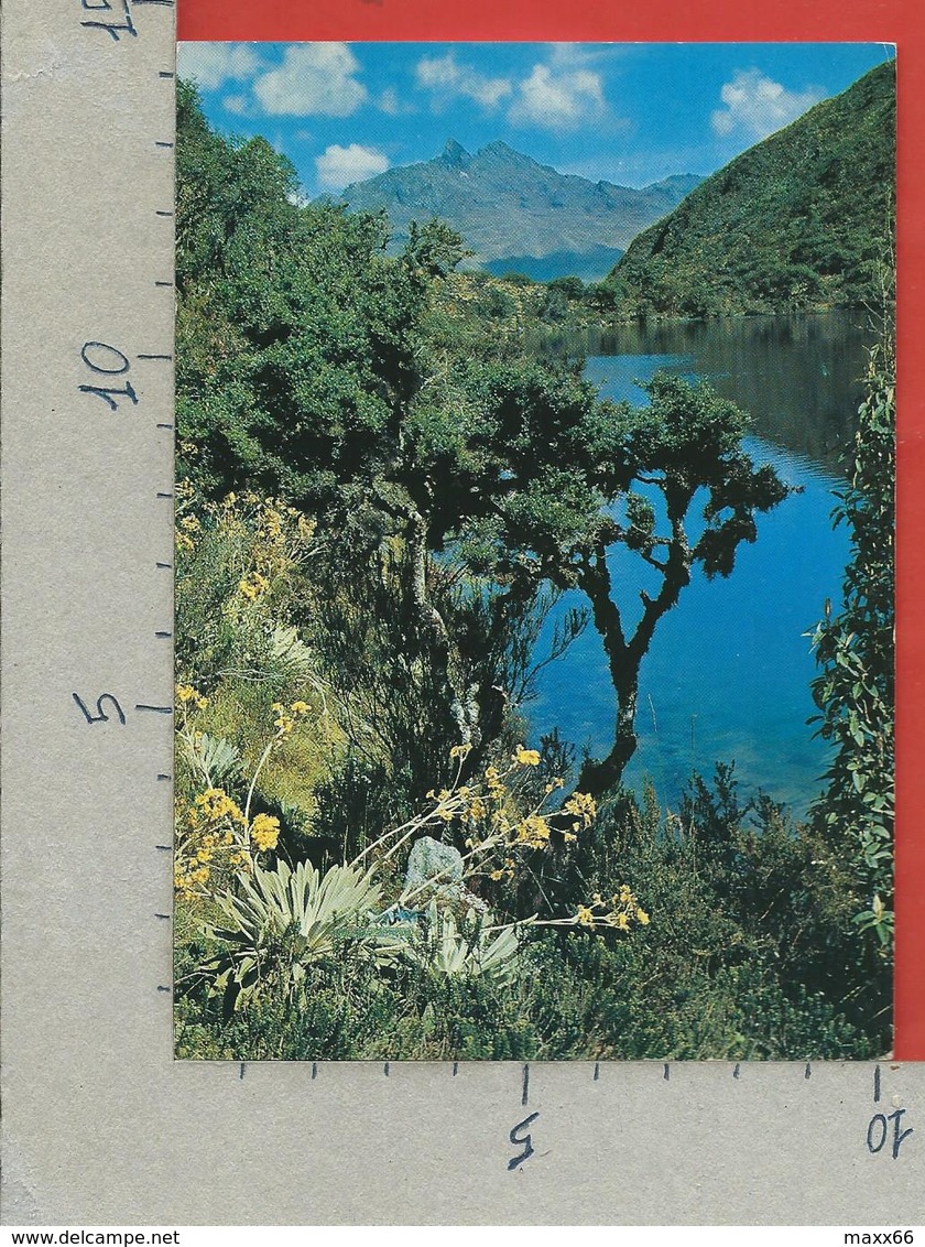 CARTOLINA VG VENEZUELA - Laguna Negra Con Pico Gavilan Al Fondo Los Andes - 10 X 15 - ANN. 1977 - Venezuela