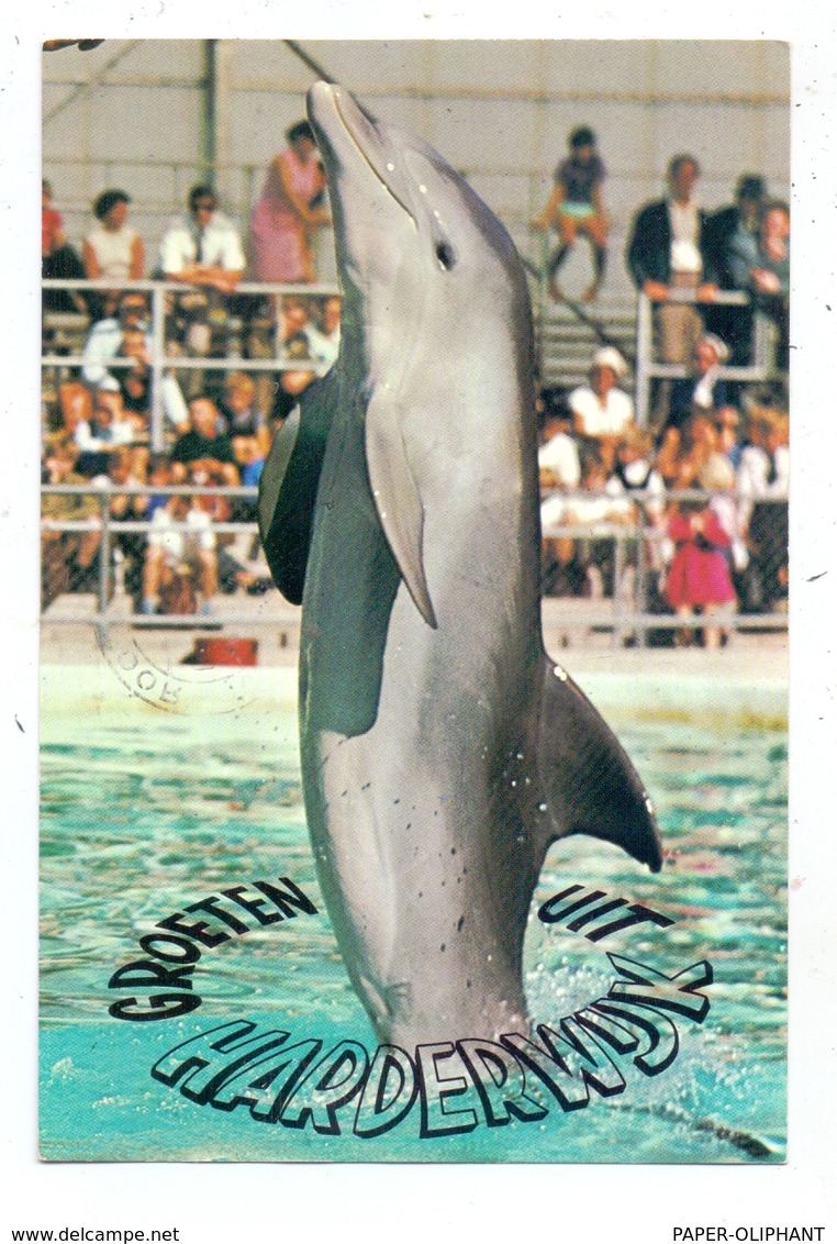 Dolfinarium Harderwijk - Dauphins