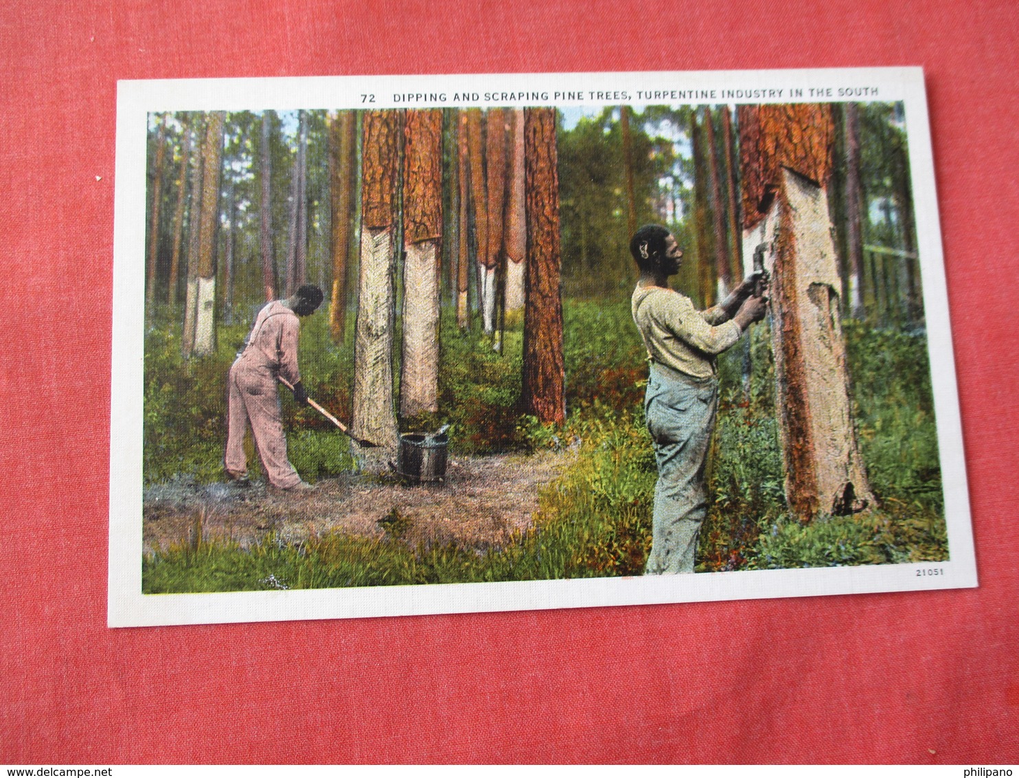 Dipping & Scrapping Pine Trees   Black Americana      Ref 3173 - Black Americana