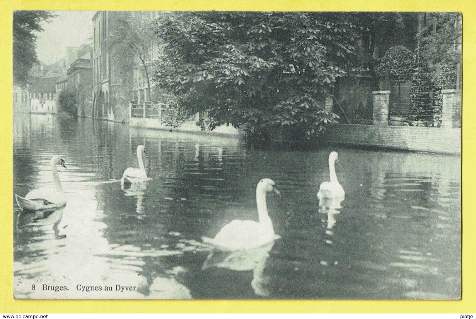 * Brugge - Bruges (West Vlaanderen) * (JDC Globe - Edition Artistique, Nr 8) Cygnes Au Dyver, Swan, Zwaan, Reien, Quai - Brugge