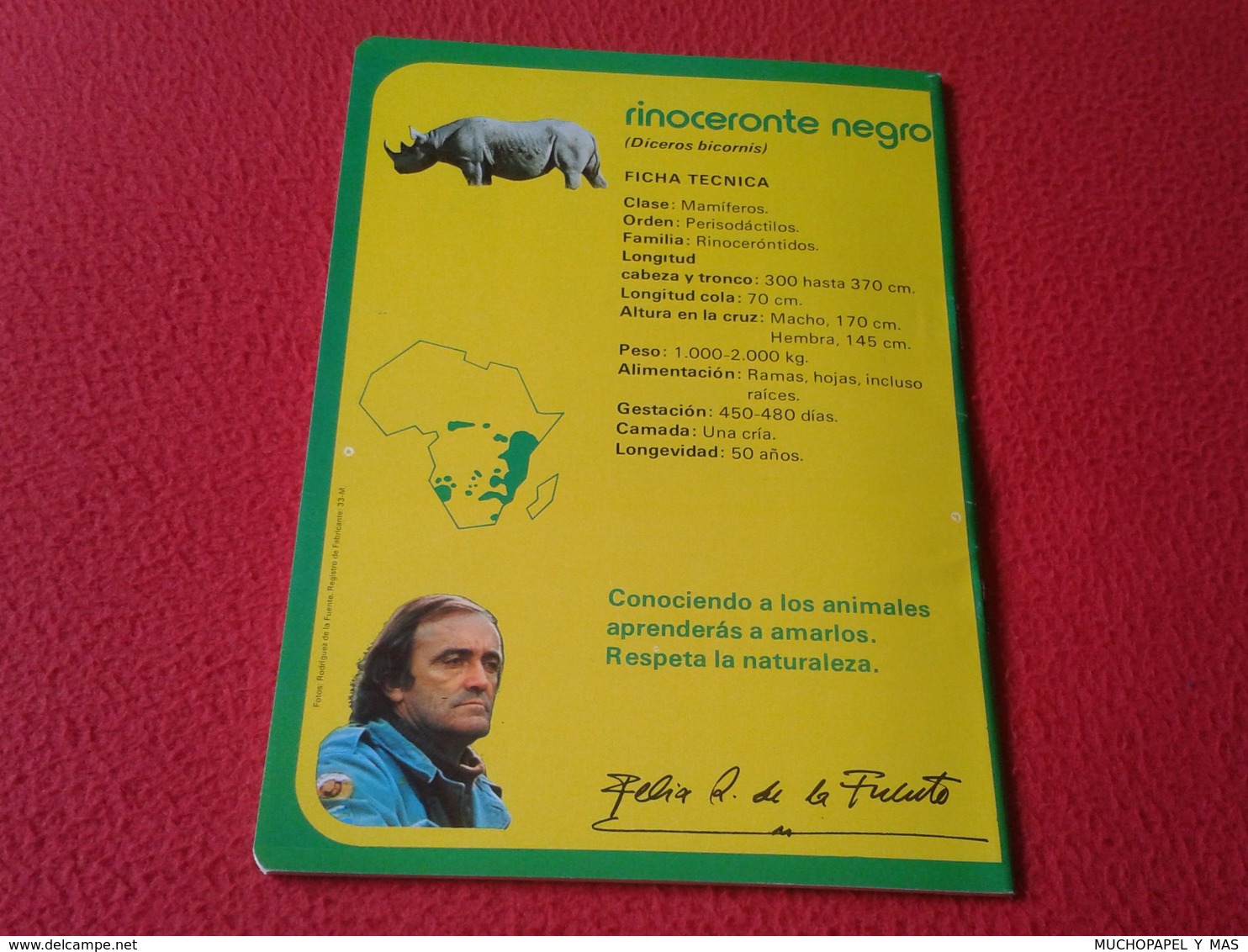 ANTIGUO CUADERNO LIBRETA PARA COLEGIO ESCUELA RINOCERONTE RHINO RHINOCEROS RHINOS RHINOCEROSES FAUNA AFRICANA NOTEBOOK.. - Otros & Sin Clasificación