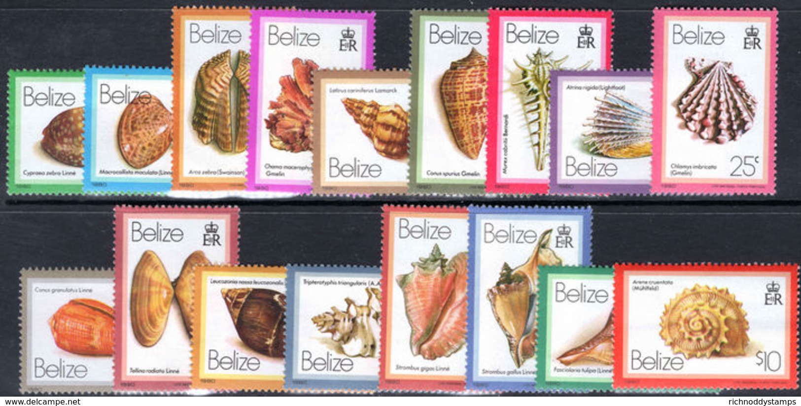 Belize 1980 Shells Unmounted Mint. - Belize (1973-...)
