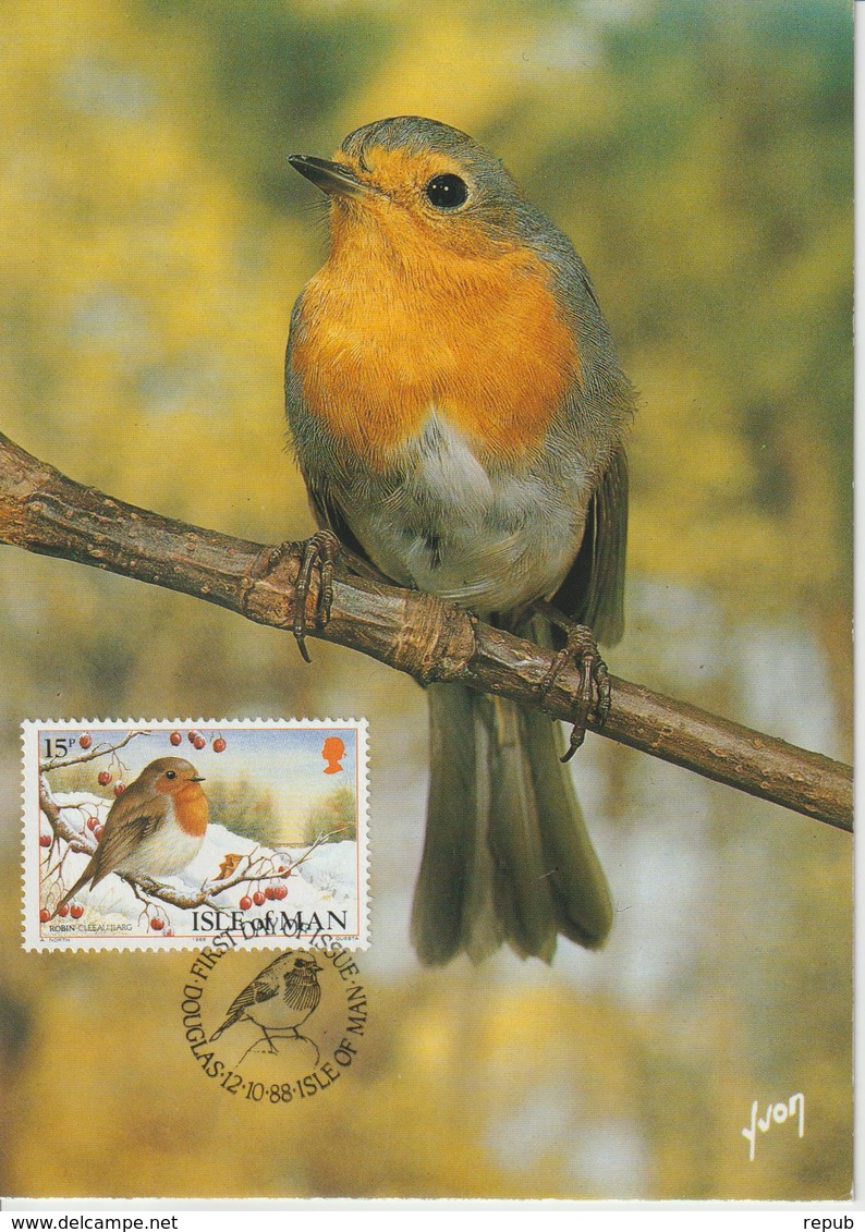 Man Carte Maximum 1988 Oiseaux Rouge Gorge 386 - Isle Of Man