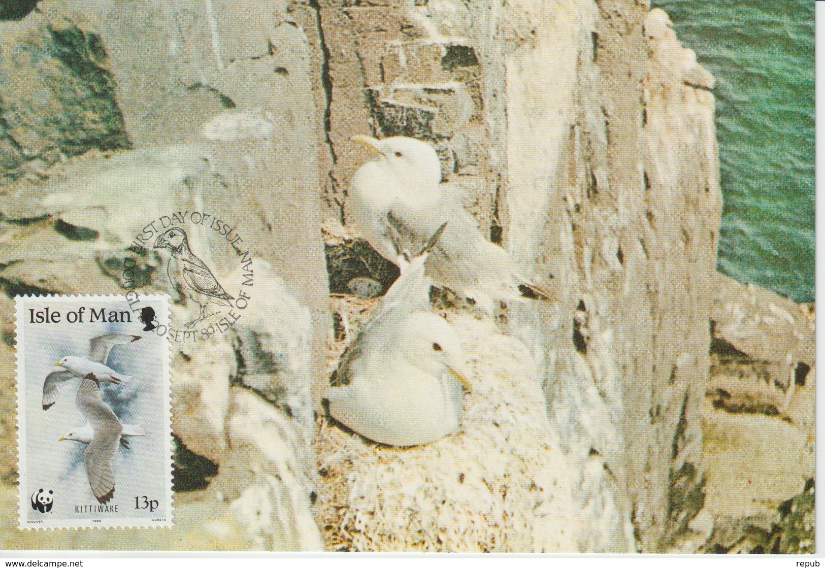 Man Carte Maximum 1989 Oiseaux Mouette 411 - Man (Ile De)