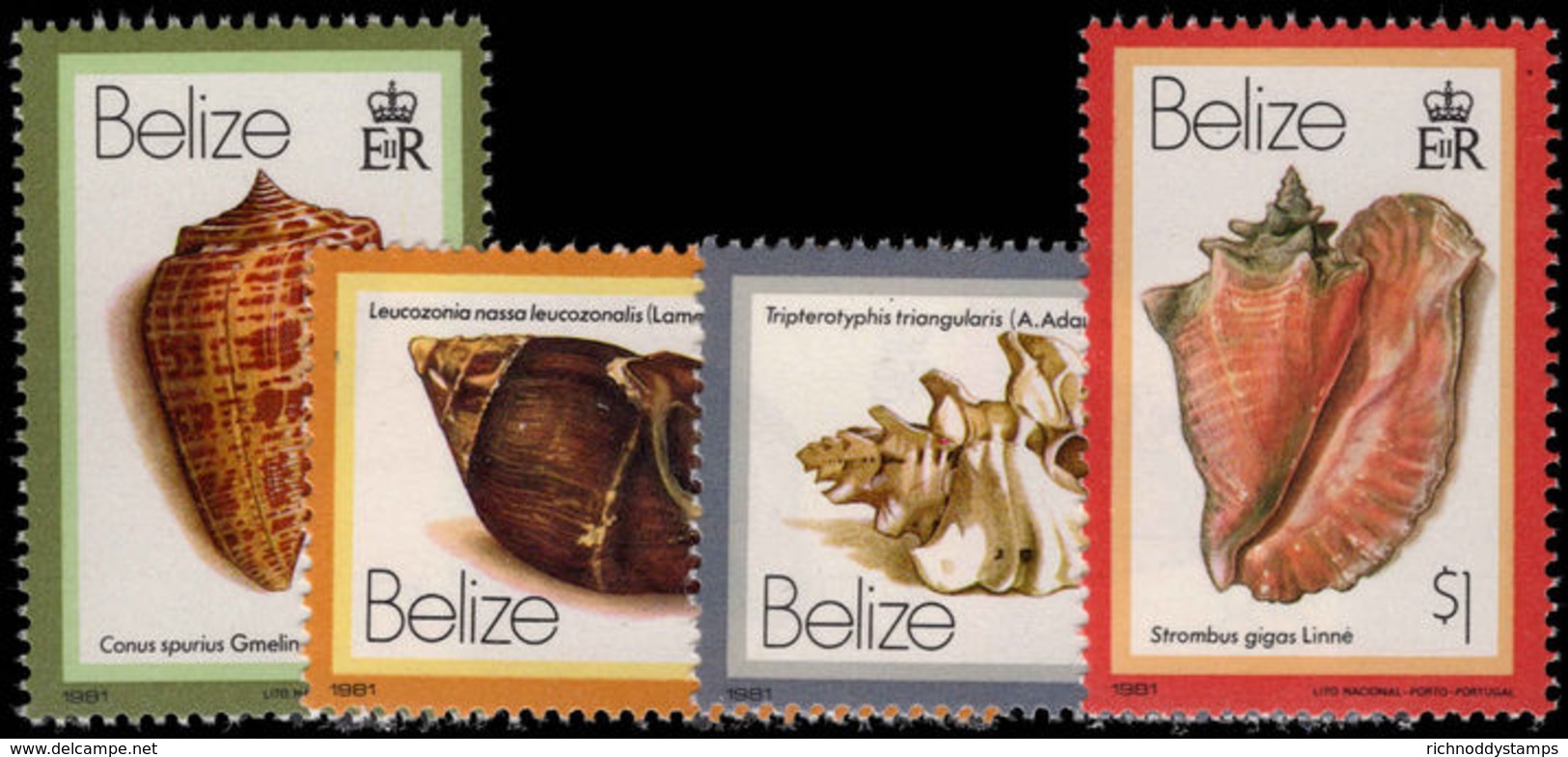 Belize 1981 Shells 1981 Imprint Set Of 4 Unmounted Mint. - Belize (1973-...)