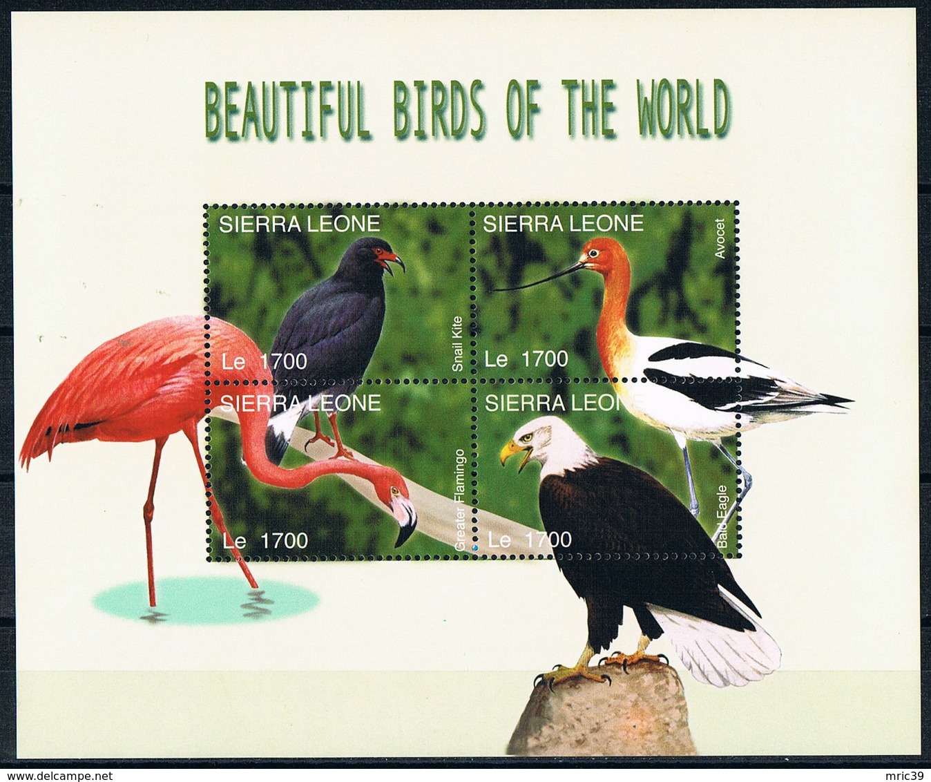 Serie Set Oiseaux Birds  Neuf  MNH ** Sierra Leone 2004 - Other & Unclassified