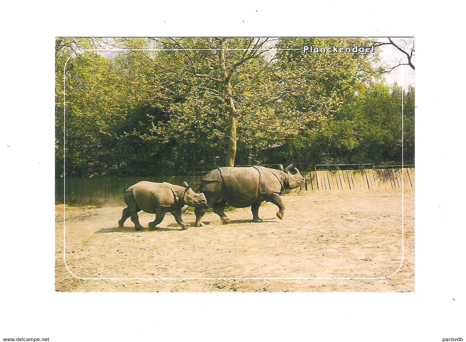 DIERENPARK PLANCKENDAEL - ZOO  ANTWERPEN    (11.658) - Mechelen