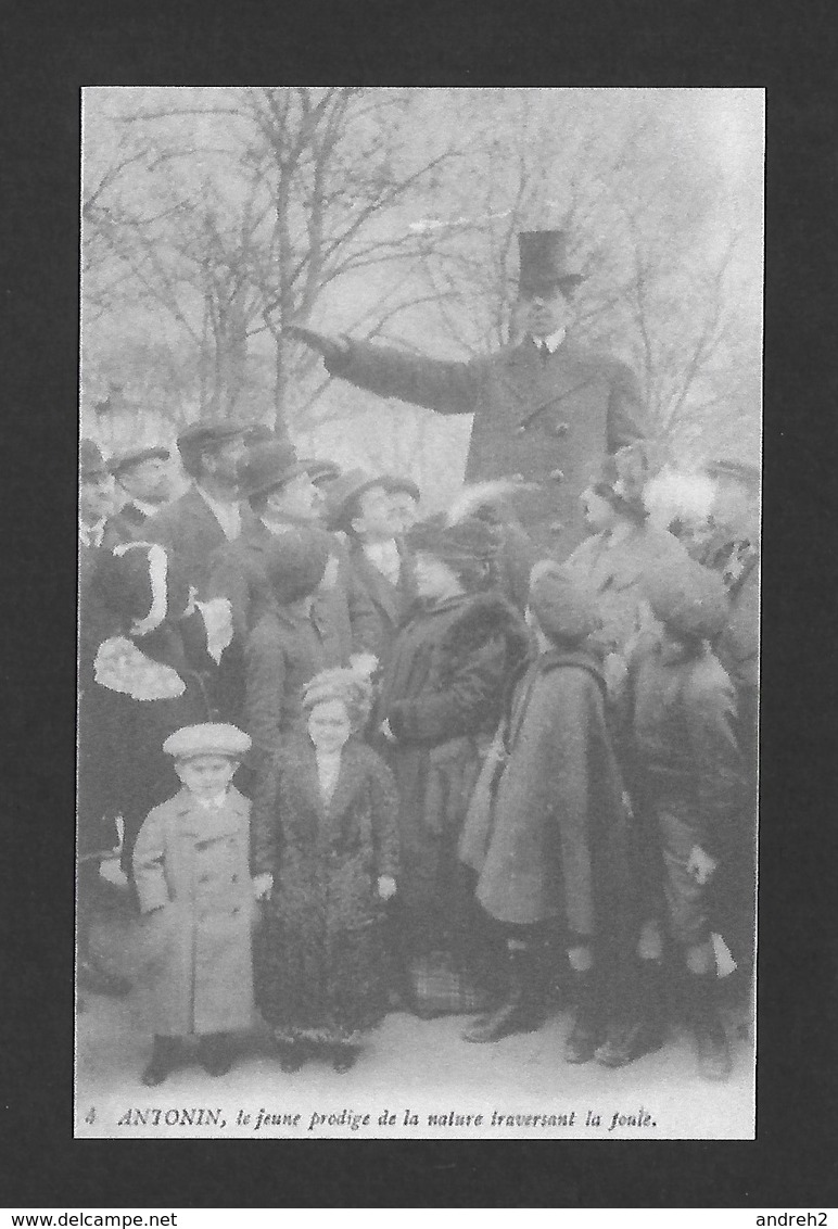 HUMOUR - INSOLITE - LE GÉANT ANTONIN JEUNE PRODIGE DE LA NATURE TRAVERSANT LA FOULE - Humour