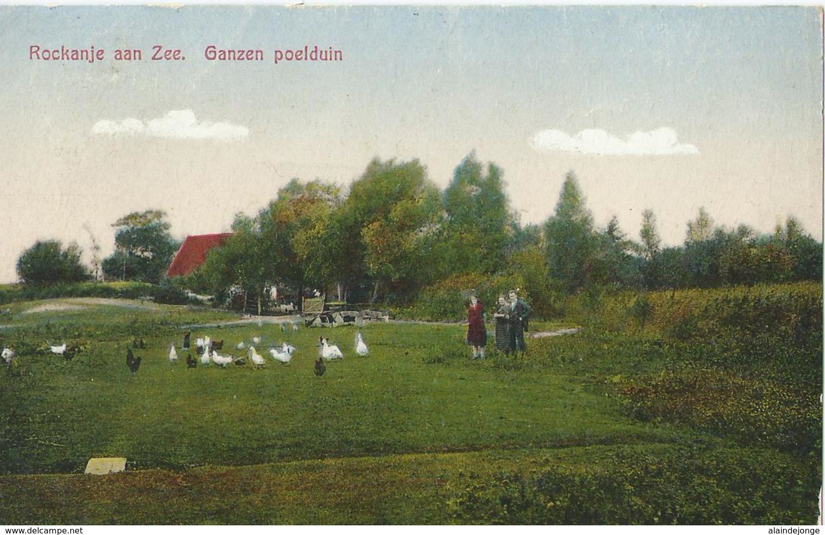 Rockanje Aan Zee. - Ganzen Poelduin - Foto Th. J. V. D. Steeg - Uitgave C. Moree En K. Schipper - 1928 - Other & Unclassified