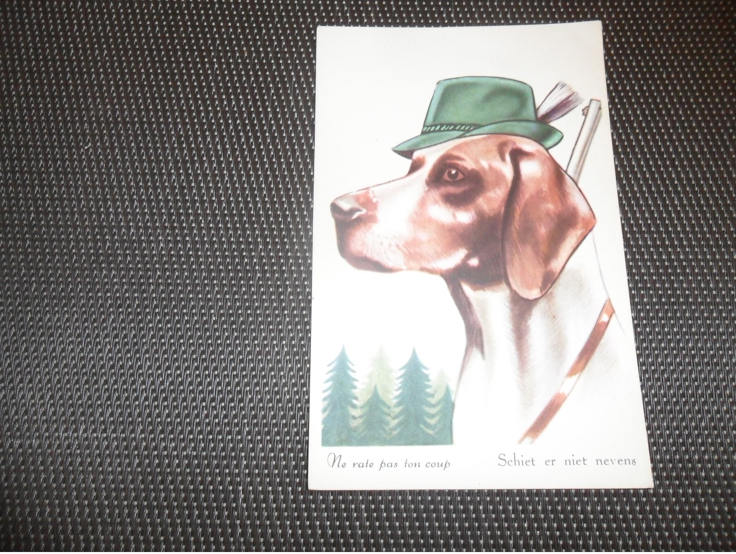 Chien ( 43 )    Hond   -  Coloprint  22 - Hunde