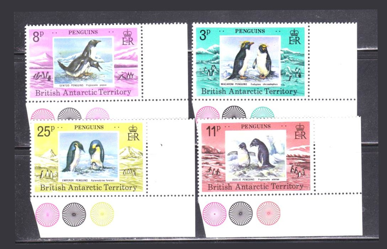 Stamp Antarctic 1980 Penguins - Pingueinos