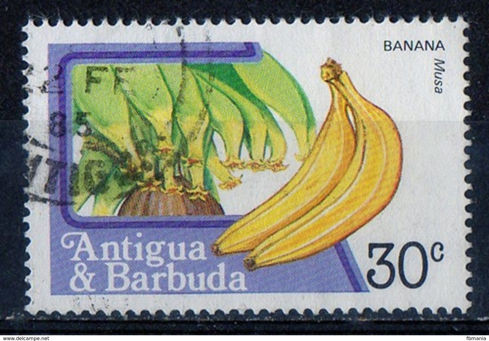 Antigua Barbuda 1983 - Banana - Antigua And Barbuda (1981-...)